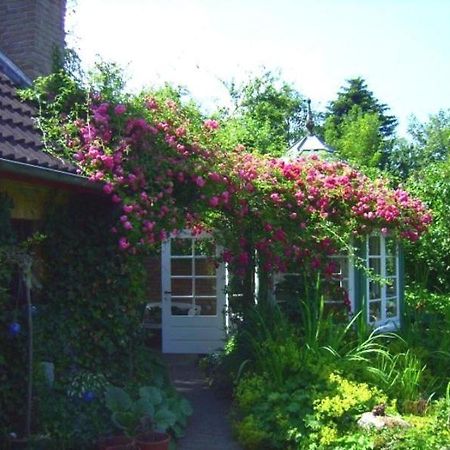 Ferienwohnung Diena - Unterkunft Mit Toller Ausstattung Und Zwei Terrassen Tarp Exteriör bild