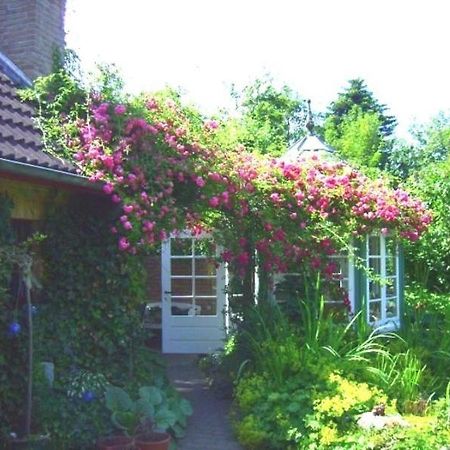 Ferienwohnung Diena - Unterkunft Mit Toller Ausstattung Und Zwei Terrassen Tarp Exteriör bild
